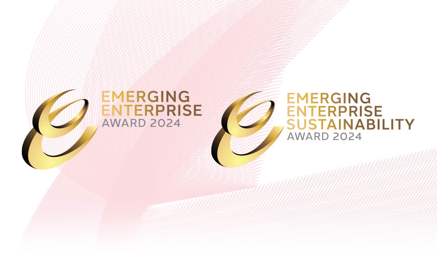 Emerging Enterprise Awards